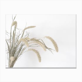 Dried Wheat Canvas Print