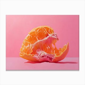 Orange Slice Canvas Print