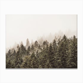 Minimal Pine Forest Canvas Print