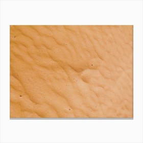 Sandy Beach Canvas Print