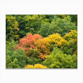 Autumn Forest 20211020 109ppub Canvas Print