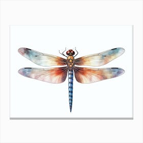Dragonfly Anatomy 3 Canvas Print