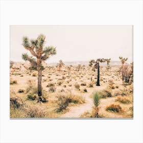 Warm California Desert Canvas Print