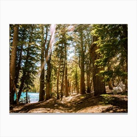 Mcleod Lake Trail Canvas Print