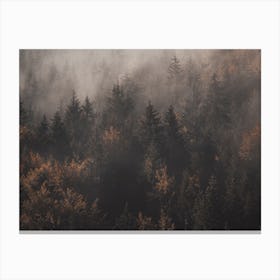 Misty Autumn Forest Canvas Print