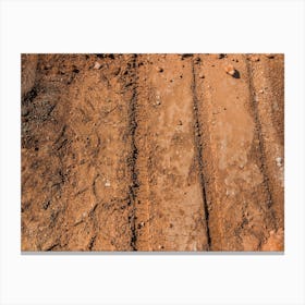 Texture Of Brown Dirt With Tractor Tyre Tracks Canvas Print