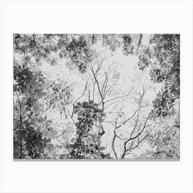 Treetops In Black Grey And White Canvas Print