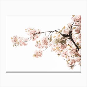 Spring Blossom IV Canvas Print