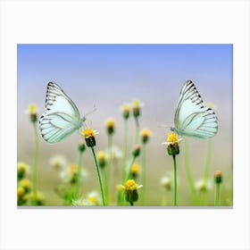 Butterfly On A Flower 12 Canvas Print