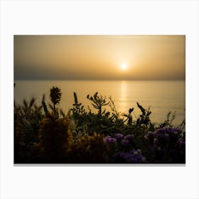 Serene Golden Sunset Over The Sea With The Wild Flowers Canvas Print