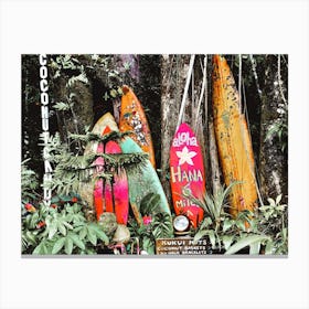 Old Surfboards Canvas Print