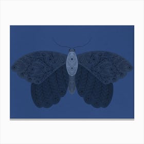 Blue monochrome floral moth Canvas Print