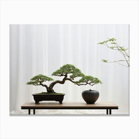 A Meticulously Cared For Bonsai Tree Captured In A Minimalist Setting Its Intricate Branches Delic Canvas Print