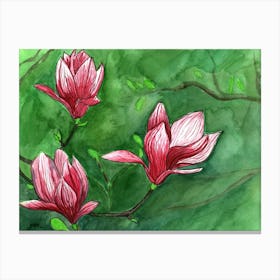 Magnolia Canvas Print