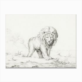 Lion, Jean Bernard Canvas Print
