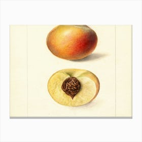 Peaches Canvas Print