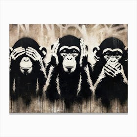 Three Wize Monkeys Canvas Print