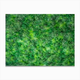 Abstract Green Pattern Fabric Texture On Israeli Money Bill Of 50 Shekel Under The Microscope 1 Canvas Print