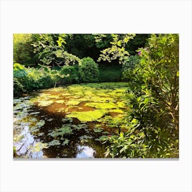 Mossy Pond Canvas Print