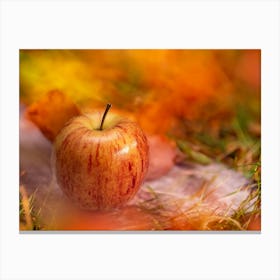 Autumn Apple On The Grass Canvas Print