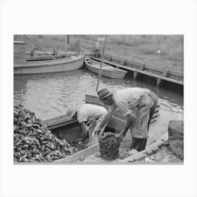 Untitled Photo, Possibly Related To Dumping Oysters Into Sacks From Wire Baskets, Olga, Louisiana By Russell Lee Canvas Print