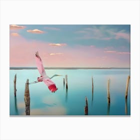 Pink Spoonbill Canvas Print