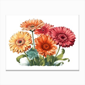 Gerberas 1 Canvas Print