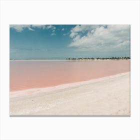 Pink Beach And White Sand Of Las Coloradas On Yucatán In Mexico Canvas Print