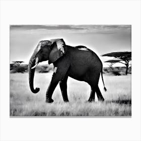 Black And White Vintage Photograph Of An Elephant In Africa Safari Canvas Print