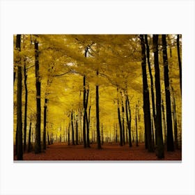 Autumn Forest 35 Canvas Print