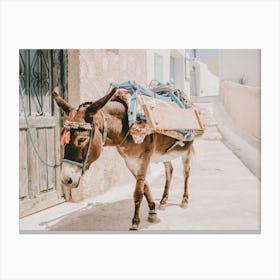 Donkey In Greece Canvas Print