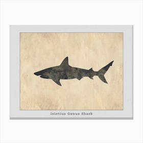 Isistius Genus Shark Silhouette 4 Poster Canvas Print
