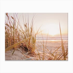 Beach Grass Sunset Canvas Print