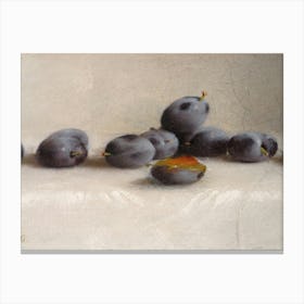 Plums 1 Canvas Print