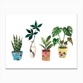 Plants Canvas Print
