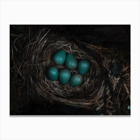 Bird'S Nest Canvas Print