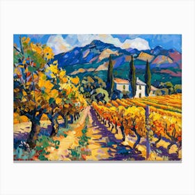 Vineyards 2 Canvas Print