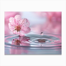 Water Drop Canvas Print