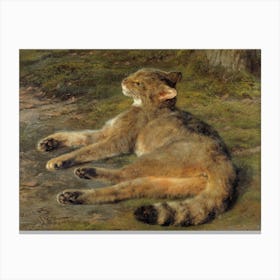 Wild Cat, Rosa Bonheur Canvas Print