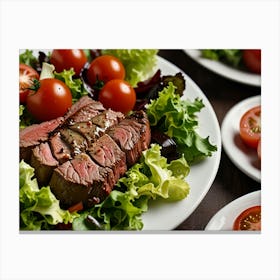 Steak And Salad Canvas Print