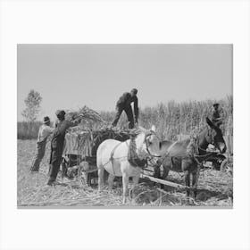 Loading Sugarcane, Louisiana By Russell Lee Canvas Print