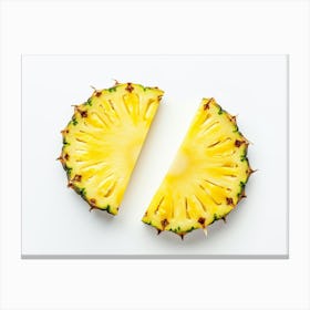 Pineapple Slices Isolated On White Background 5 Canvas Print