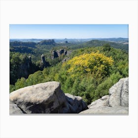 Carolafelsen. Sandstones and forest in Saxony Canvas Print