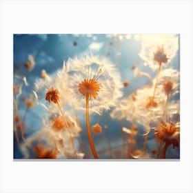 Dandelion 30 Canvas Print