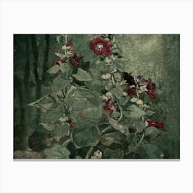 Hollyhocks 1 Canvas Print