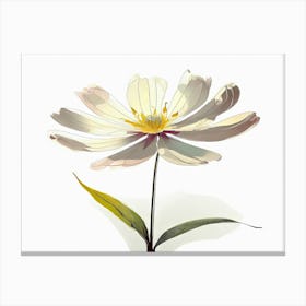 White Flower 1 Canvas Print