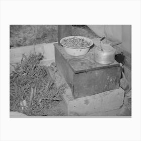 Untitled Photo, Possibly Related To Cook Stove In Tent Home Of Young Farmer And His Wife, Vale Owyhee Canvas Print