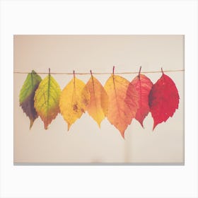 Hanging Leaves Canvas Print
