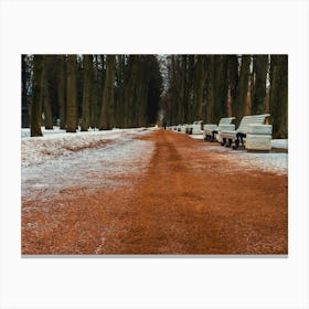 Snowy Park Canvas Print