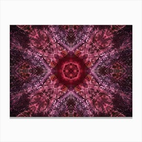 Modern Abstraction Red Decor Canvas Print
